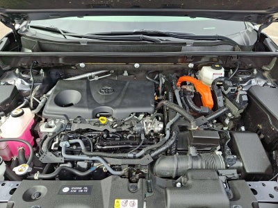 2023 Toyota RAV4 Hybrid XLE AWD (Natl)