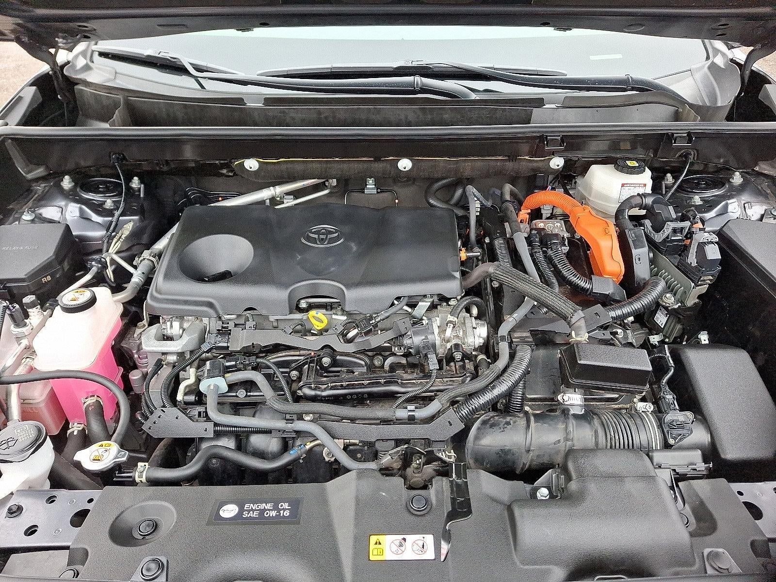 2024 Toyota RAV4 Hybrid XLE AWD (Natl)