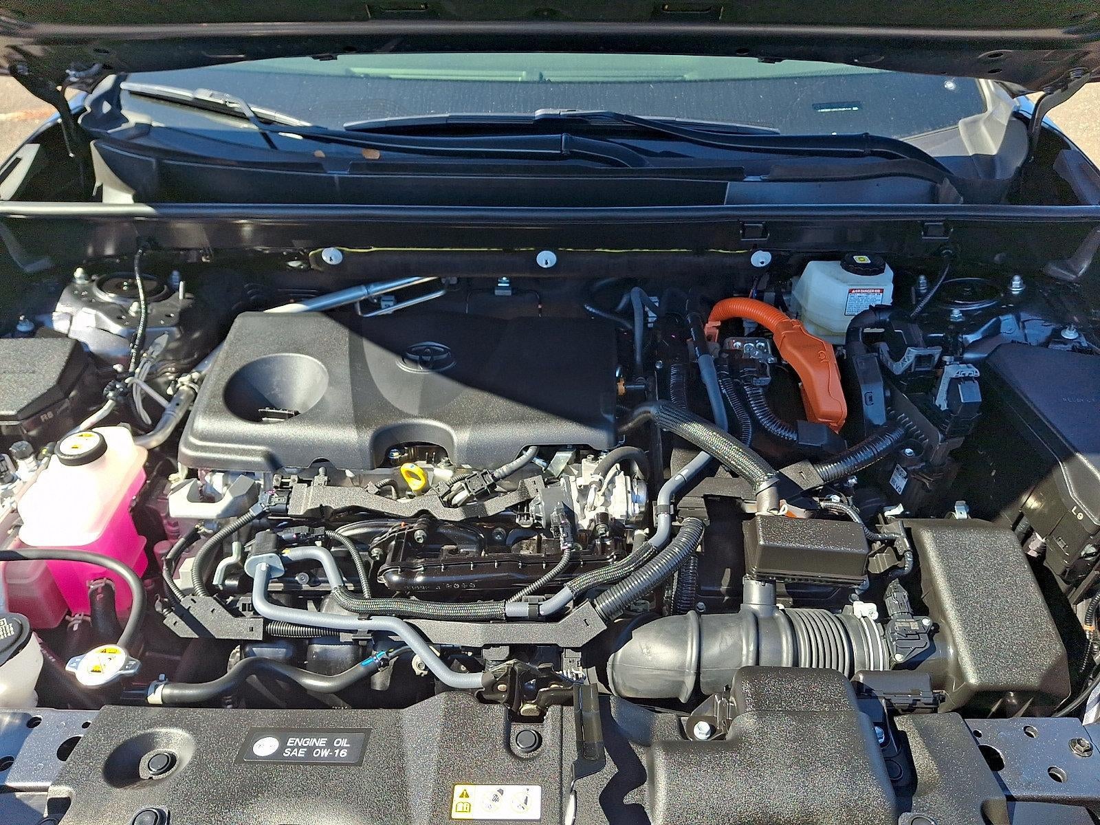 2025 Toyota RAV4 Hybrid XLE AWD (Natl)