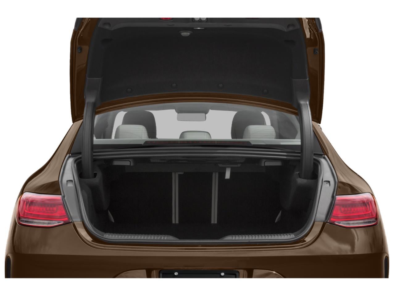 2019 Mercedes-Benz CLS CLS 450 4MATIC® Coupe