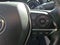 2019 Toyota Camry XLE Auto (SE)
