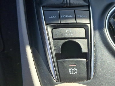 2019 Toyota Camry XLE Auto (SE)