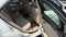 2014 Mercedes-Benz E-Class E 350 4MATIC® Luxury Sedan