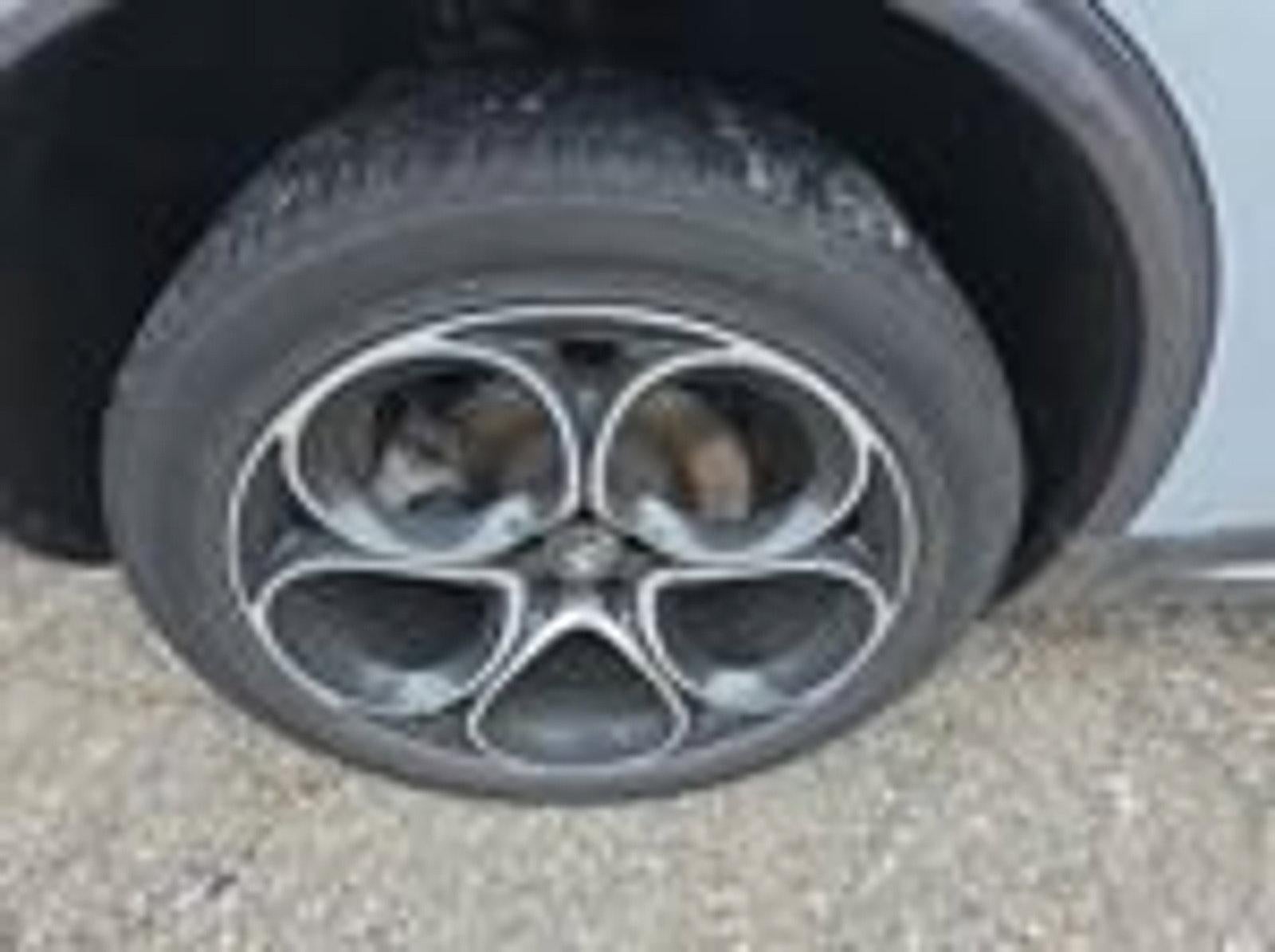 2024 Alfa Romeo Stelvio Ti AWD