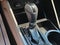 2018 Hyundai TUCSON SEL AWD