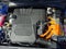 2025 Hyundai ELANTRA HYBRID SEL Sport DCT
